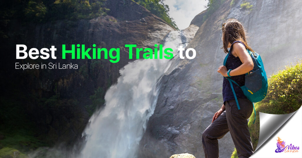 Best Hiking Trails to Explore in Sri Lanka